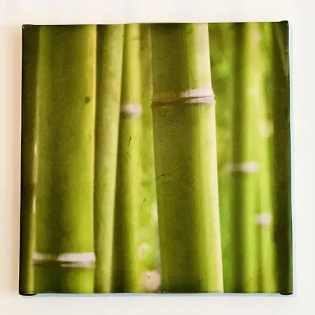 Rbb 0g 1 A 2 Pers Equipe *