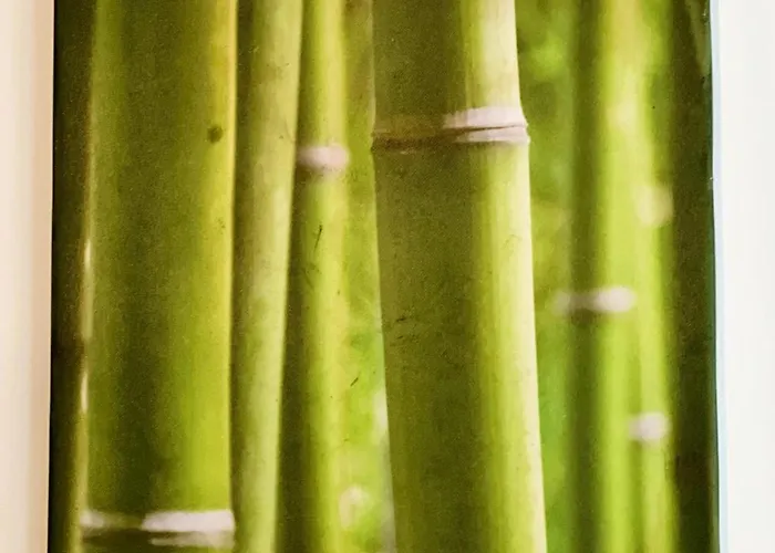 Rbb 0g 1 à 2 Pers équipé *